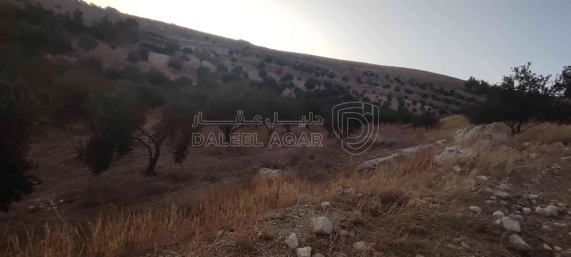 أرض في الزرقاء قضاء بيرين صروت  - 187,500 دأ - صورة 1