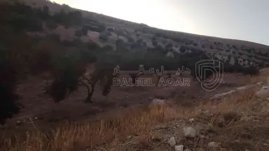 أرض في الزرقاء قضاء بيرين صروت  - 187,500 دأ - صورة NaN