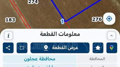 أرض في ارض سامتا طريق نعيمه الرئيس - 65,000 دأ - صورة NaN