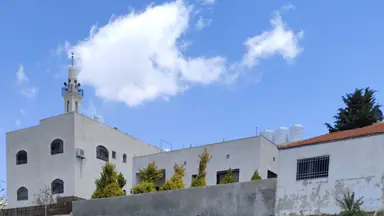 أرض في قطعه ارض قرب إسكان الكرمل في منطقه فلل للبيع - 41,000 دأ - صورة NaN