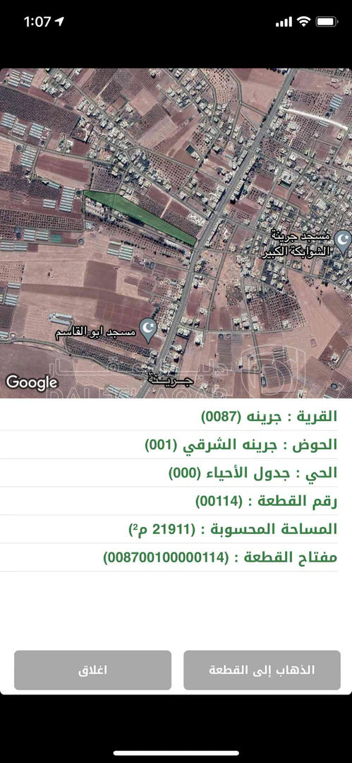 أرض في ارض استثمارية مساحة 22 دونم للبيع في مادبا - جرينة - 650,000 دأ - صورة 1