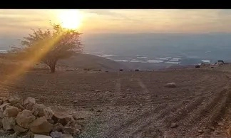 أرض في السلط / حمرة الحصن  - 50,000 دأ - صورة 1