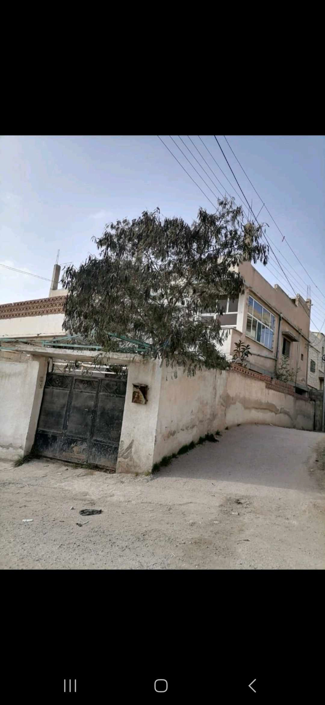 مبنى في عمارتين للبيع على قطع ارض واحده في جبل الامير حسن / الزرقاء *العماره الاولى* شقتين طابقيتين و تسويه  (كل العماره عباره عن شقتين و تساوي)مساحه الشقه الواحده ٢١٠ متر الشقه الاولى مع كراج و مساحه خارجيه تتجاوز ١٠٠ متر جزء منها مزروع و يوجد في العماره بئر ماء ارضي اربع متر  و كراج سياره*العماره الثانية* شقتين طابقيتين مساحه كل شقه ١٠٠ متر و الطابق الأول مخزنين تجاريينجميع الشقق و المخازن مؤجره بدخل شهري ٦٢٠ دينار - 80,000 دأ - صورة 1