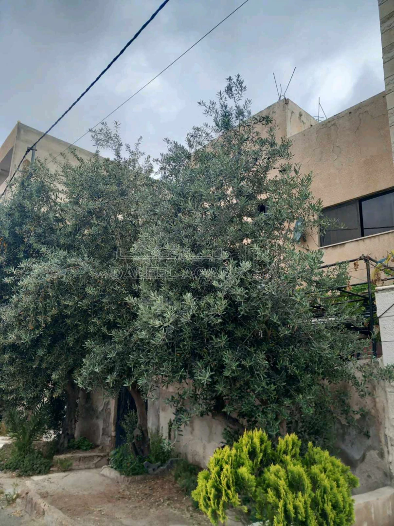 مبنى في مبنى سكني للاستثمار بسعر نار - 60,000 دأ - صورة 1