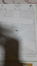 أرض في عمان جاوا قرية نافع خريبة السوق  - 48,000 دأ - صورة NaN