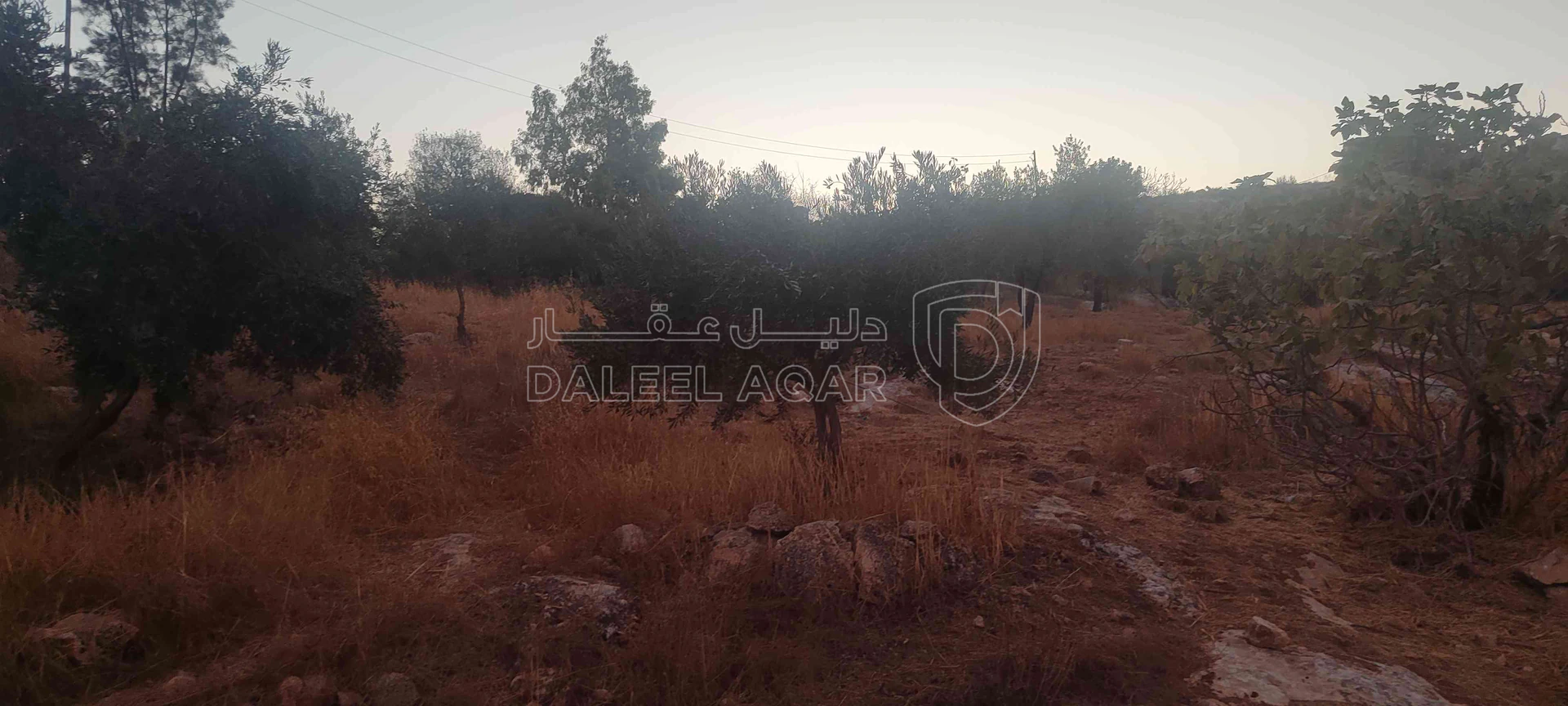 أرض في الزرقاء قضاء بيرين صروت  - 187,500 دأ - صورة 1