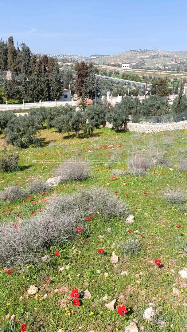 أرض في منطقة دحل طريق الزرقاء جرش - 50,000 دأ - صورة 1