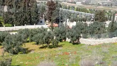 أرض في منطقة دحل طريق الزرقاء جرش - 50,000 دأ - صورة NaN
