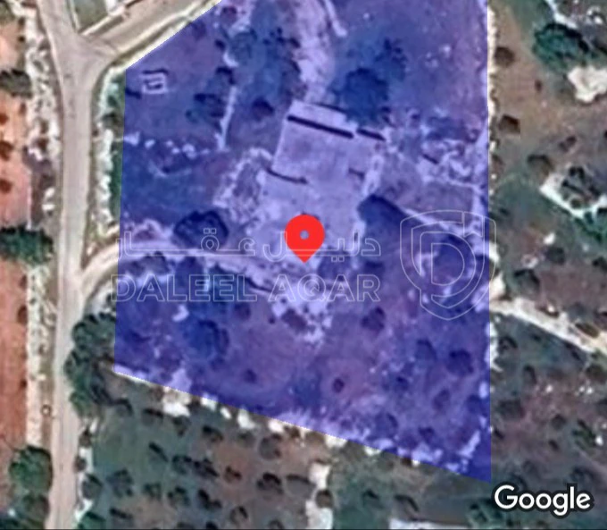 أرض في عجلون راسون منطقه السوس - 75,000 دأ - صورة 1