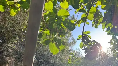 شقة في عمان ابو نصير بجانب كشك رامي  - 55,000 دأ - صورة NaN