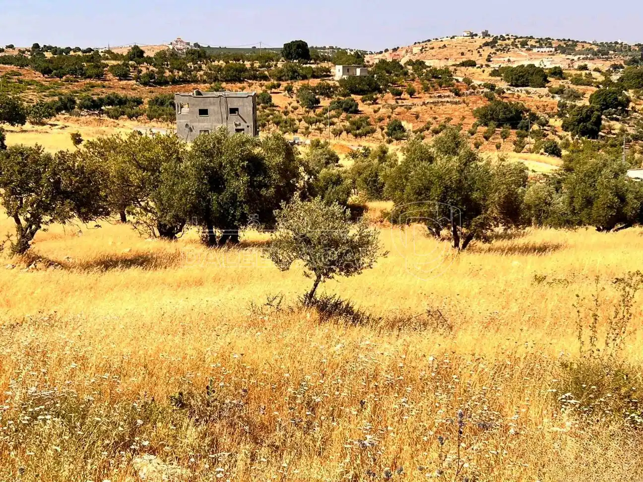 أرض في عجلون صخرة - حوض المشماس - 60,000 دأ - صورة 1