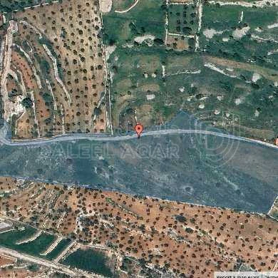 أرض في عجلون _ مزرعة الشكارة  - 211,039 دأ - صورة 1