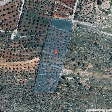 أرض في عجلون _ مزرعة الشكارة  - 195,601 دأ - صورة 1