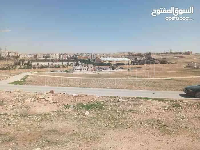أرض في الذهبيه الشرقيه حوض الحنو مقابل الأكاديمية الأمير حسين للحمايه المدنيه  - 17,000 دأ - صورة 1