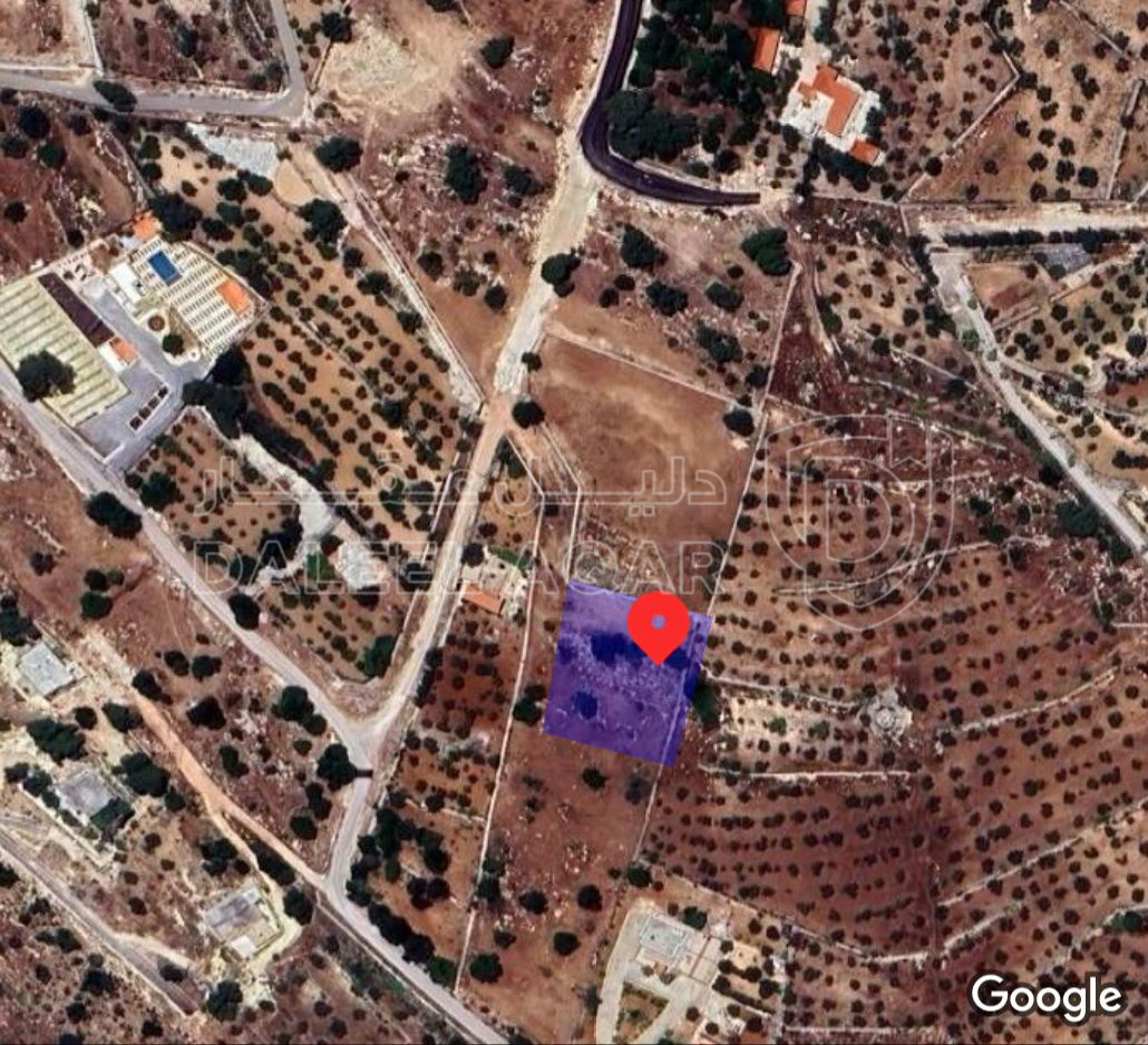 أرض في البلقاء، السلط، زي، ام العمد، جلعد - 95,000 دأ - صورة 1