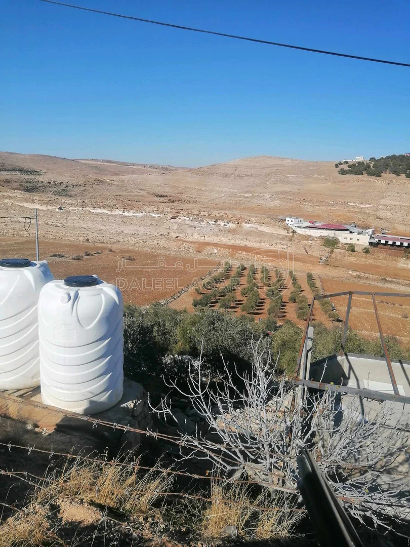 أرض في الكرك مثلث بعد مثلث غابة عينون ٨٠٠م - 55,000 دأ - صورة 1