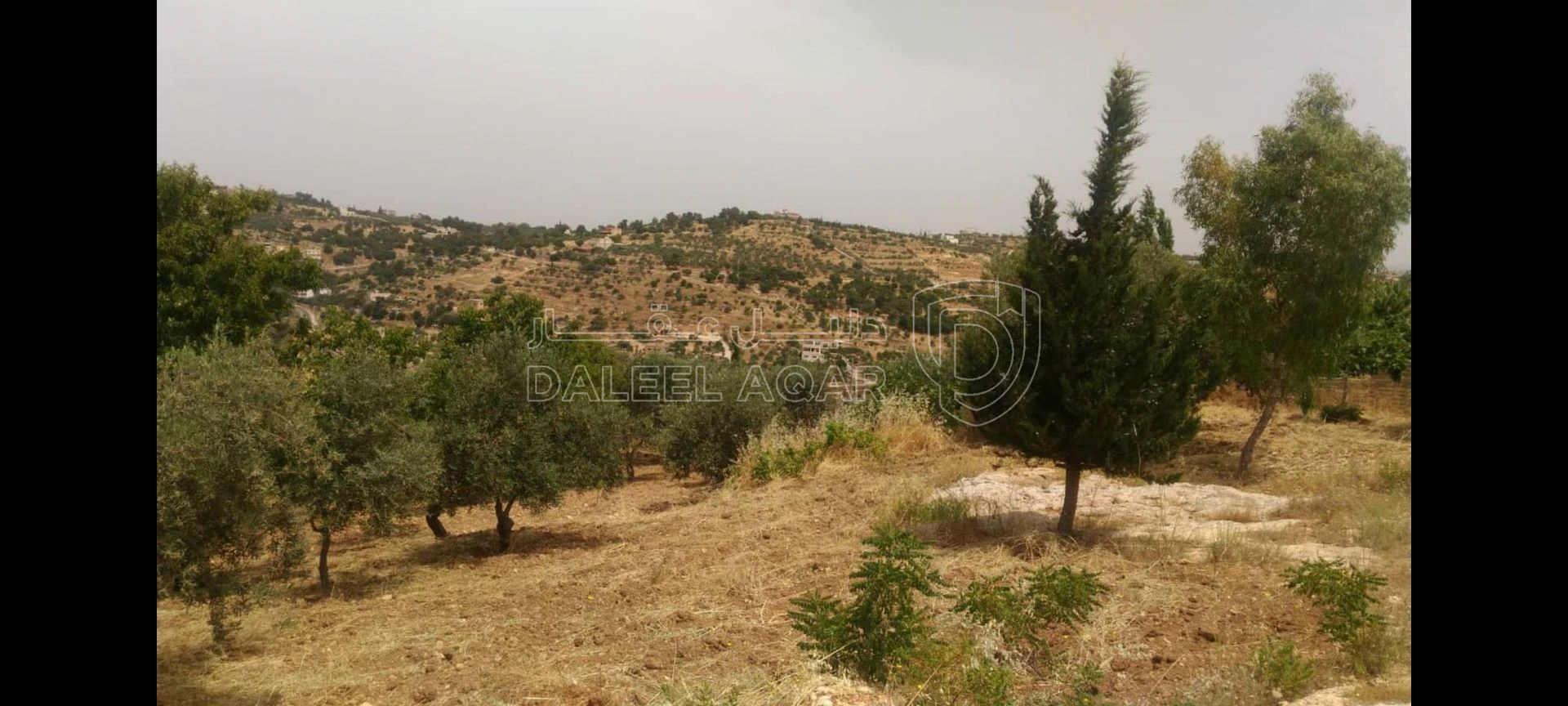 أرض في أرض للبيع في أم جوزة – السلط - 54,000 دأ - صورة 1