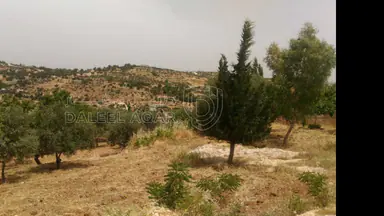 أرض - أرض للبيع في أم جوزة – السلط  - 54000 دأ