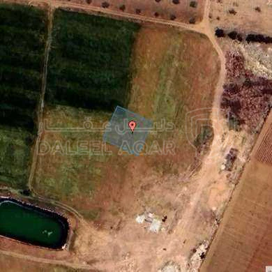 أرض في منطقة جنوب عمان - 73,000 دأ - صورة 1