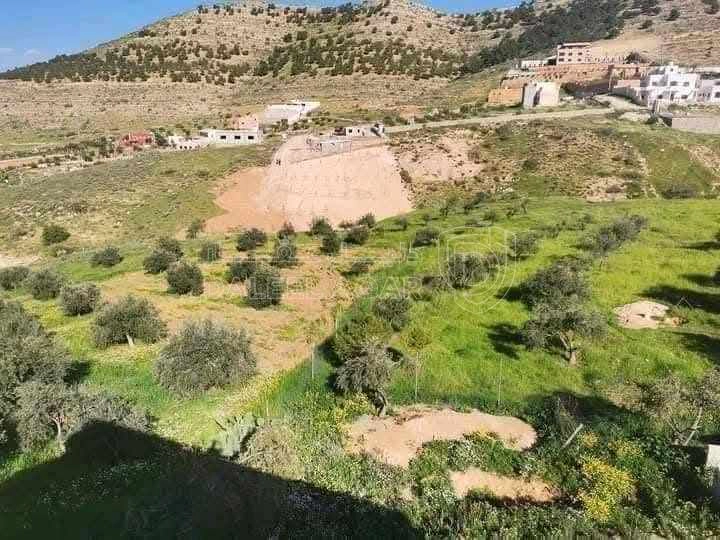 أرض في بيرين الخله بالقرب من قصر النجار - 15,000 دأ - صورة 1