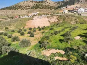 أرض في بيرين الخله بالقرب من قصر النجار - 15,000 دأ - صورة NaN