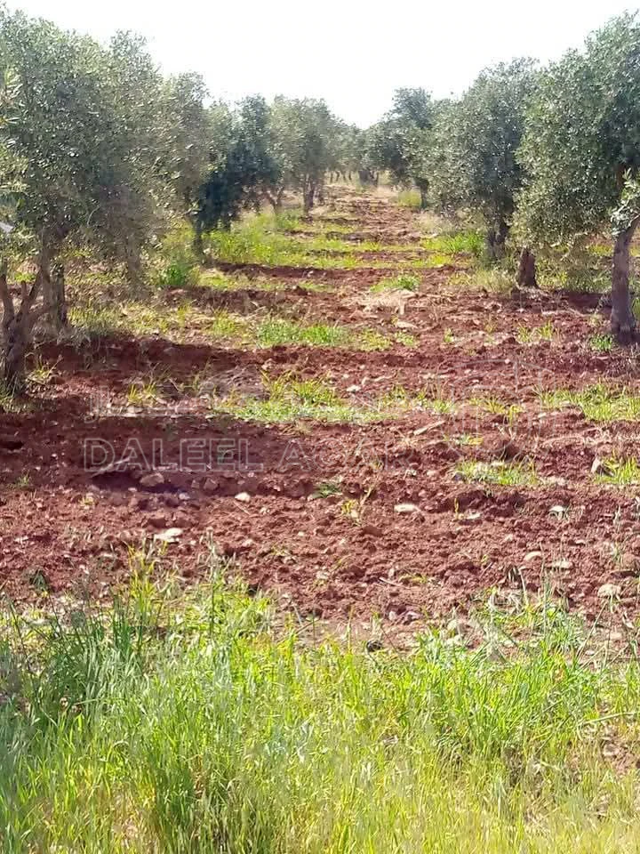 أرض في غرب منطقة النديم والحراويه غرب دوار الطياره 2 كم - 135,000 دأ - صورة 1