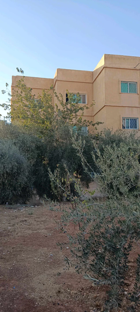 مبنى في النقيرة - 105,000 دأ - صورة 1