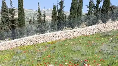 أرض في منطقة دحل طريق الزرقاء جرش - 50,000 دأ - صورة NaN