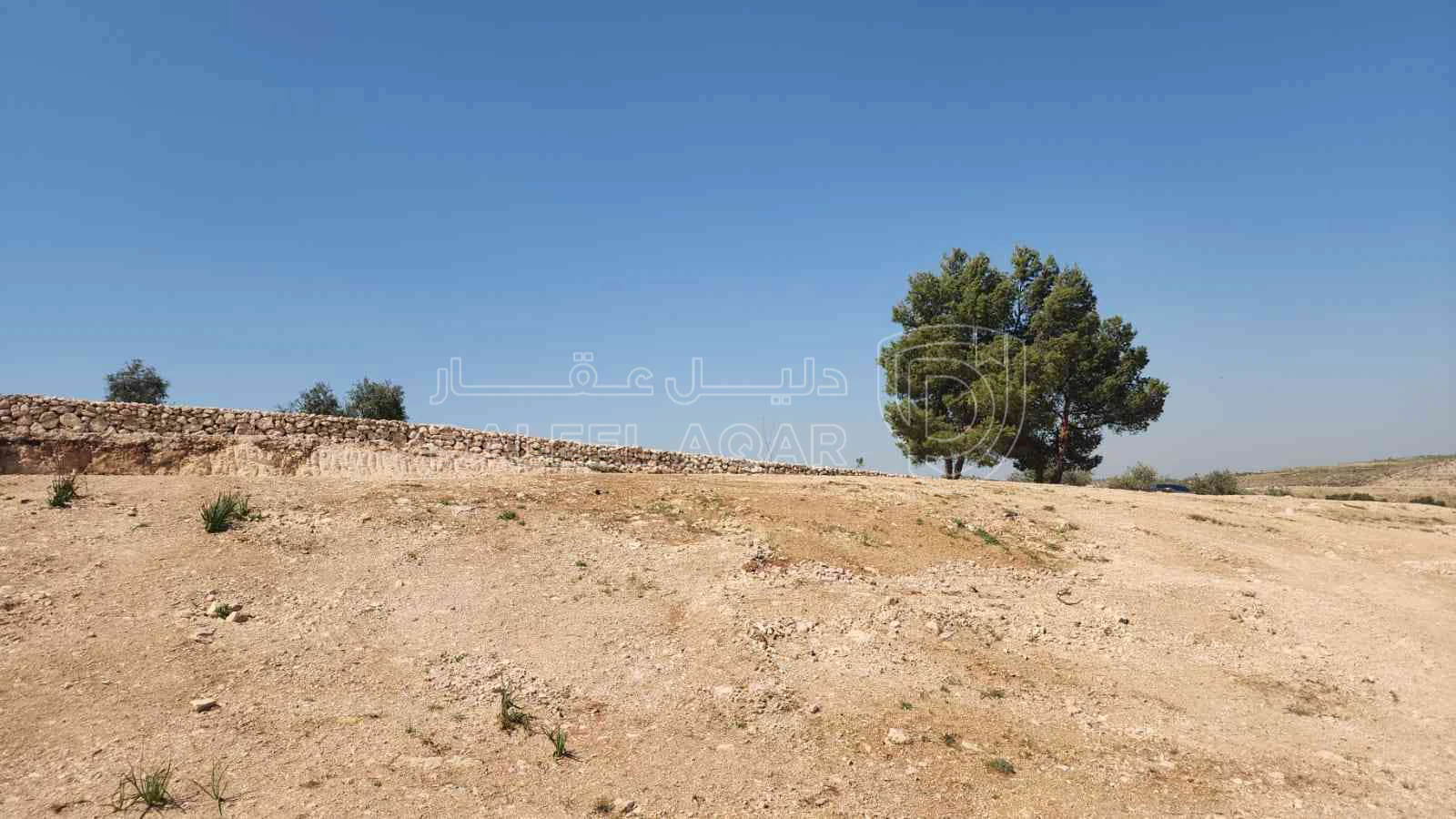 أرض في اتوستراد اربد عمان - 60,000 دأ - صورة 1