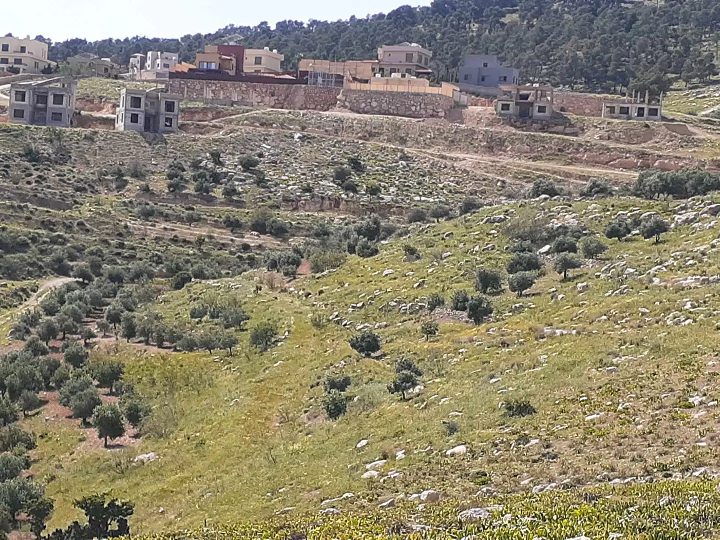 أرض في ارض للبيع في النبي هود  - 90,000 دأ - صورة 1
