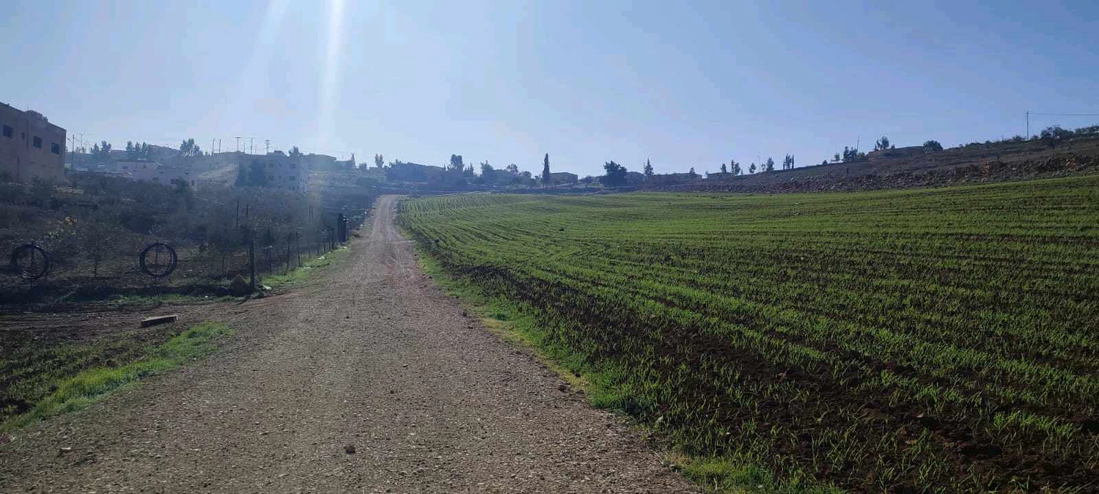 أرض في مادبا الجامعه الامريكيا  - 70,000 دأ - صورة 1