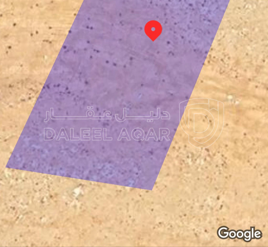 أرض في الجيزة ام الرصاص قرية سالية - 7,000 دأ - صورة 1