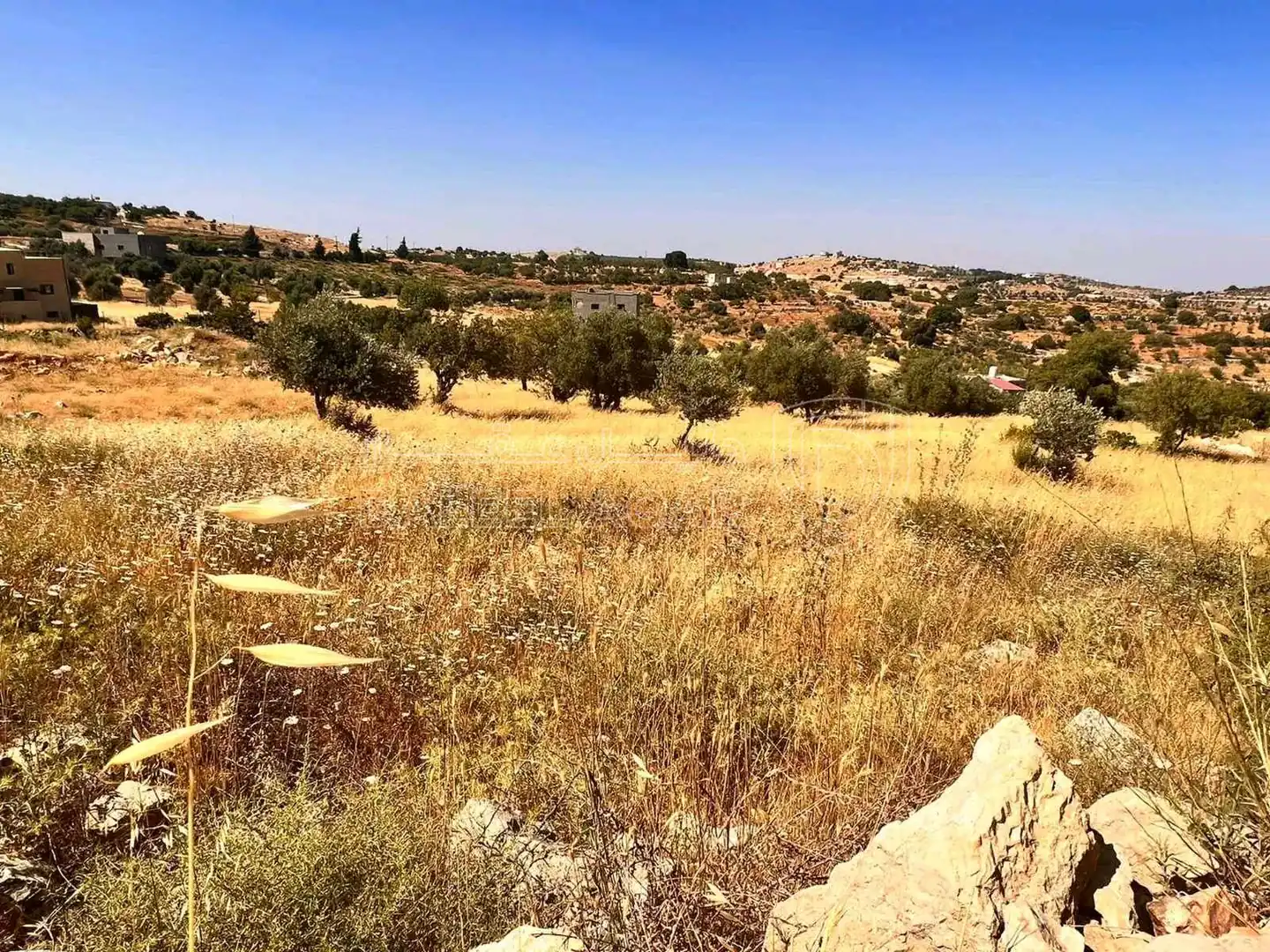 أرض في عجلون صخرة - حوض المشماس - 60,000 دأ - صورة 1