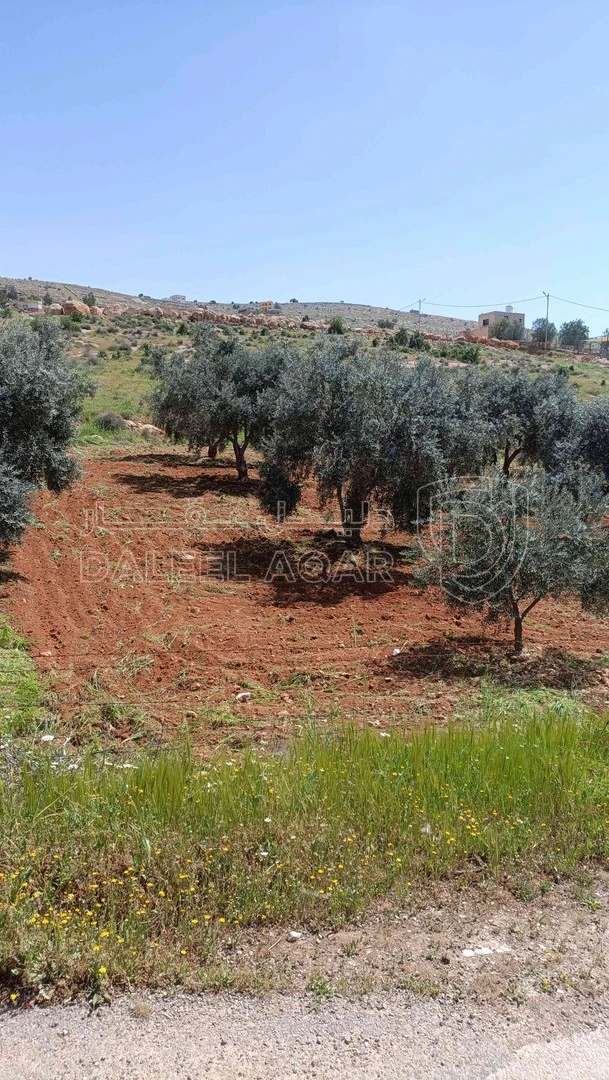أرض في منطقة دحل طريق الزرقاء جرش - 50,000 دأ - صورة 1