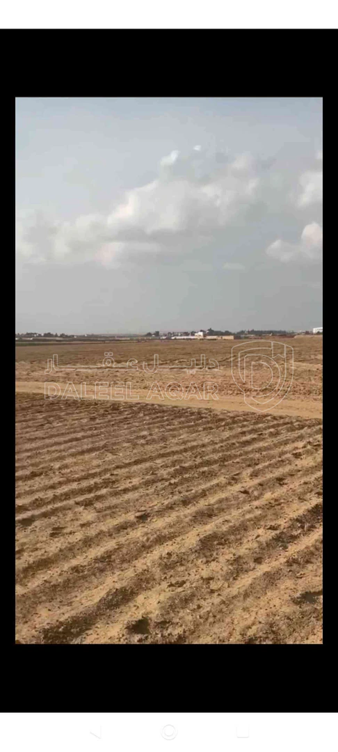 أرض في شارع المطار -خلف مطار الملكة علياء - 35,000 دأ - صورة 1