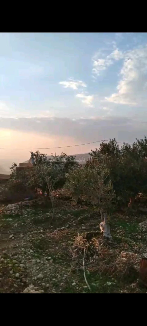 أرض في عمان ناعور - 40,000 دأ - صورة 1