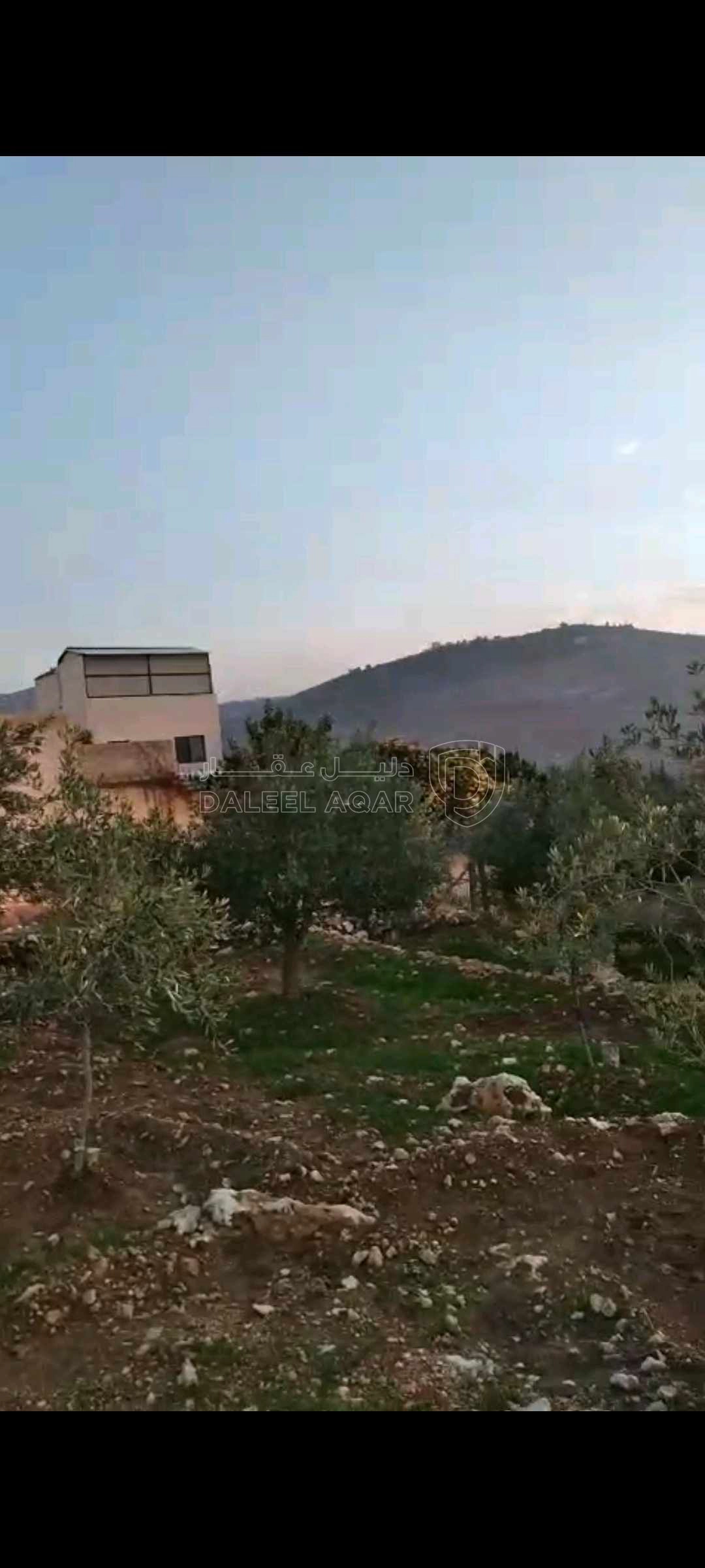 أرض في عمان ناعور - 40,000 دأ - صورة 1