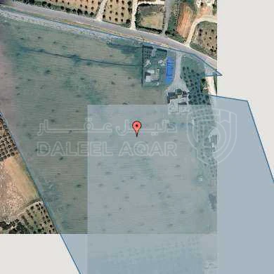 أرض في أراضي جنوب  عمان  - 117,000 دأ - صورة 1