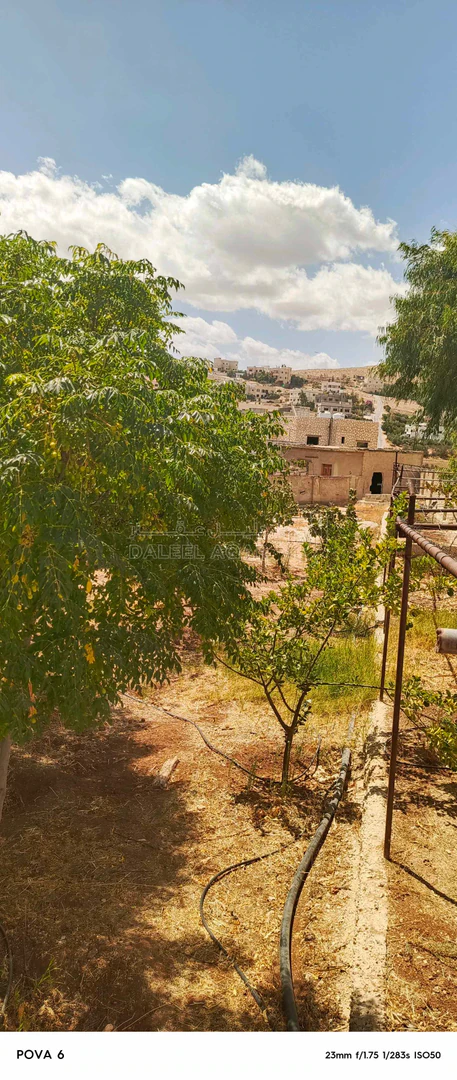 مبنى في الزرقاء الهاشمية غريسا  - 65,000 دأ - صورة 1