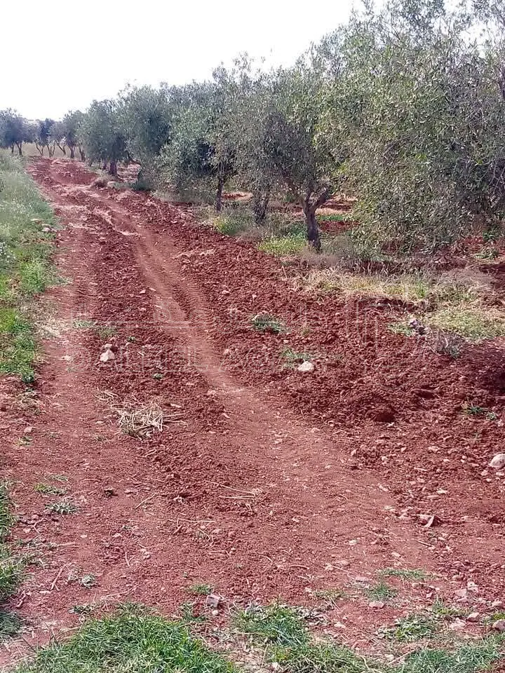 أرض في غرب منطقة النديم والحراويه غرب دوار الطياره 2 كم - 135,000 دأ - صورة 1