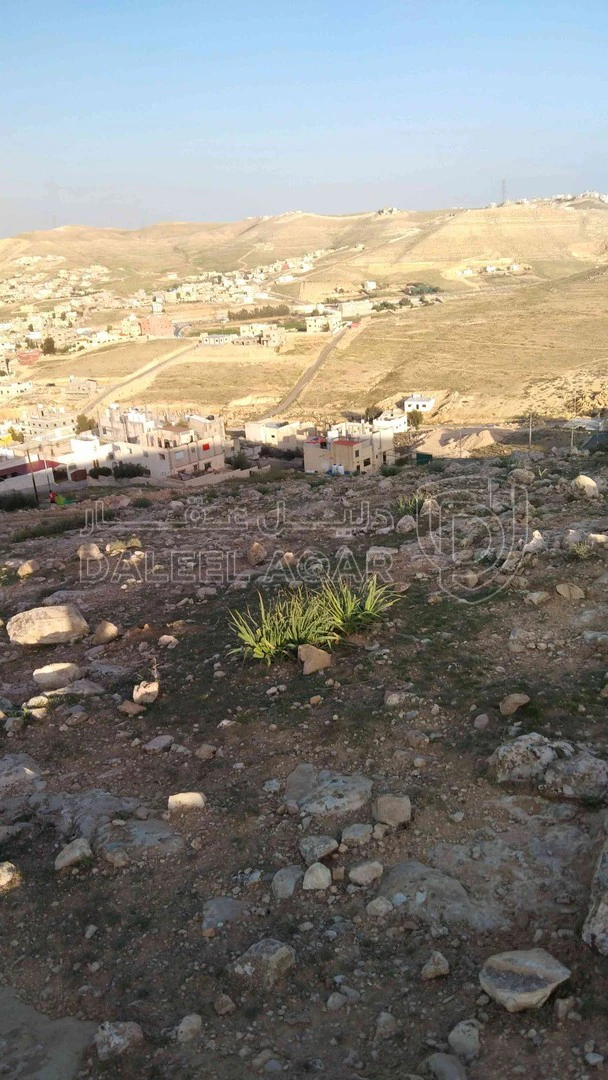أرض في الزرقاء ابو الزبغان الشرقي  - 12,000 دأ - صورة 1