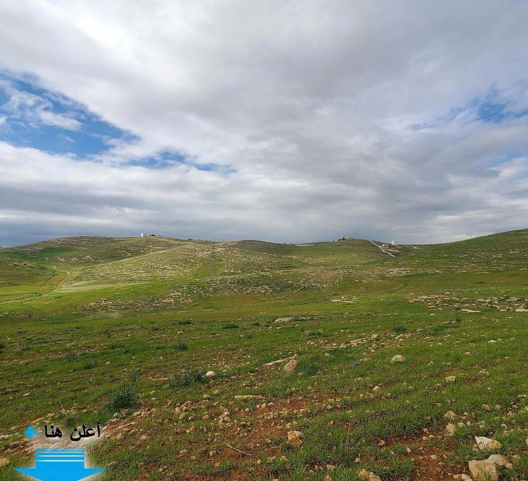 أرض في  عمان شفابدران بجانب اسكان وزارة التربية  - 650,000 دأ - صورة 1
