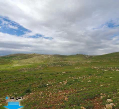 أرض في  عمان شفابدران بجانب اسكان وزارة التربية  - 515,000 دأ - صورة NaN