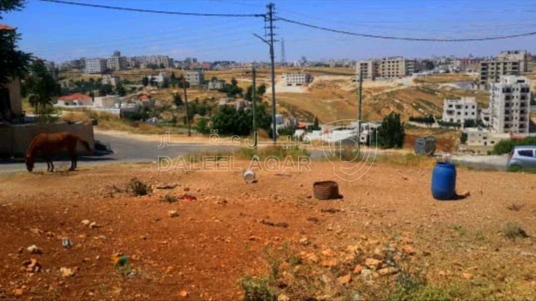 أرض في مرج الحمام طريق المطار خلف مدارس العالمية - 470,000 دأ - صورة 1