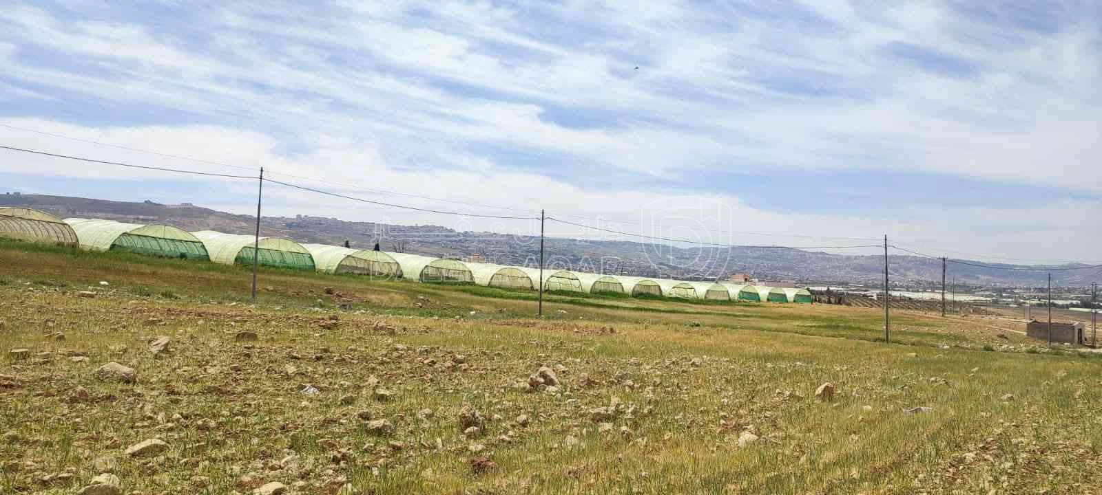 أرض في ارض مميزه  البناء شاليه او سكن - 30,000 دأ - صورة 1