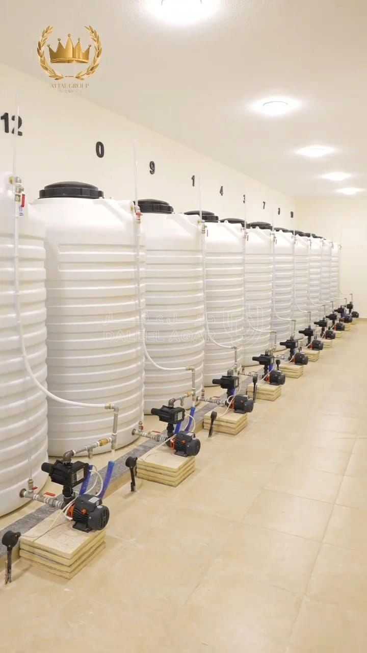 شقة في طريق_المطار - قرب جامعة_البترا - 72,000 دأ - صورة 1