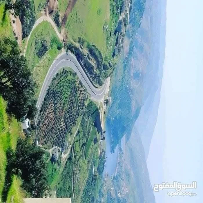 فيلا/منزل في فيلا وشاليه مطل على سد الملك طلال ضمن كومباوند - 260,000 دأ - صورة 1