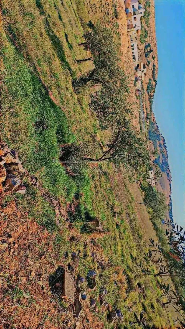 أرض في بيرين الخله بالقرب من قصر النجار - 15,000 دأ - صورة 1