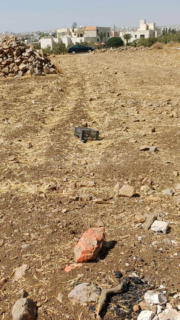 أرض في   السرو الجنوبي  مقابل جامعة عمان الاهلية  - 264,000 دأ - صورة 1