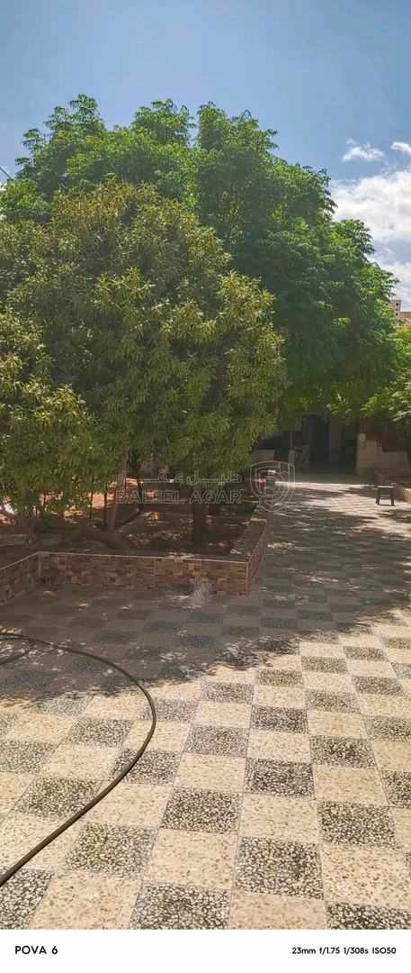 مبنى في الزرقاء الهاشمية غريسا  - 65,000 دأ - صورة 1